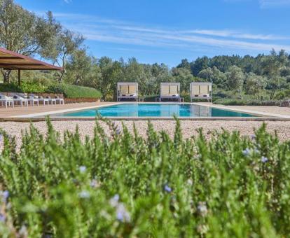 Gran piscina al aire libre rodeada de vegetación de este hotel con encanto.