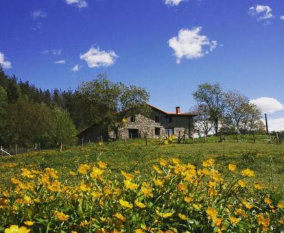 Precioso hotel rural rodeado de un bello entorno natural con flores.