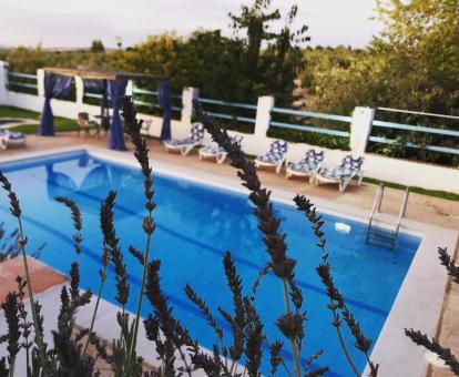 Vista aérea de la piscina con vistas a la naturaleza de este hotel con encanto.