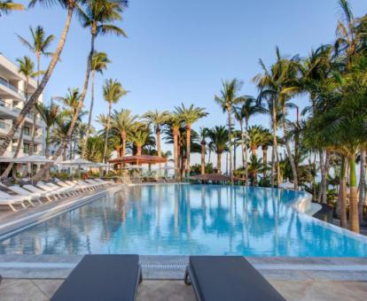 Amplia piscina exterior rodeada de palmeras de este hotel con encanto.