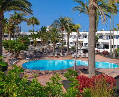 Amplia zona exterior con palmeras, solarium y piscina de este hotel con encanto.